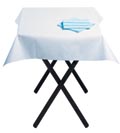 Cool Mint napkins with White table cover
